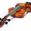 violon
