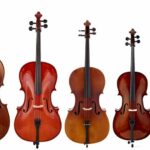 taille de violoncelle