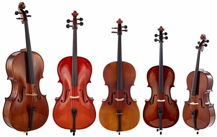 taille de violoncelle