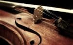 violon