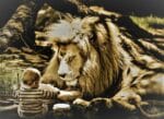 eveil-musical-bebe-lion