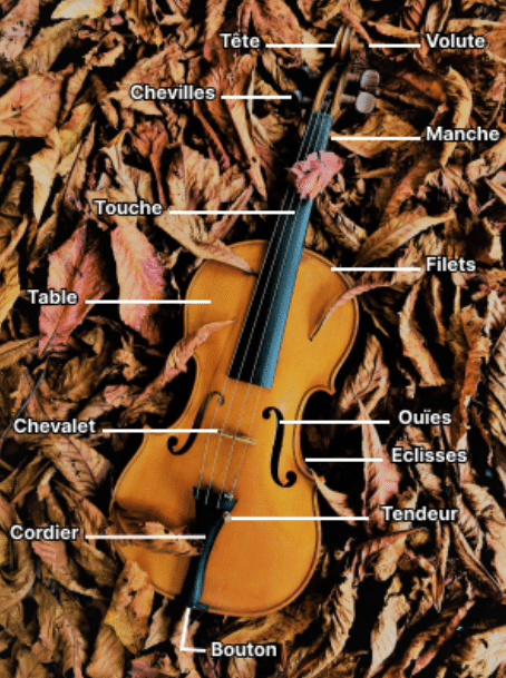 apprendre-le-violon