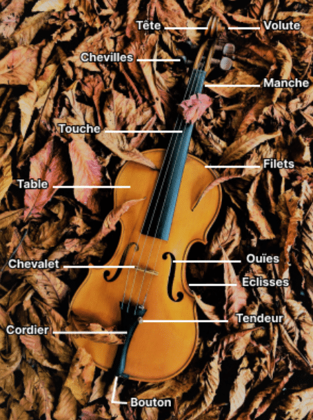 Comment accorder son violon classique ou électrique ?